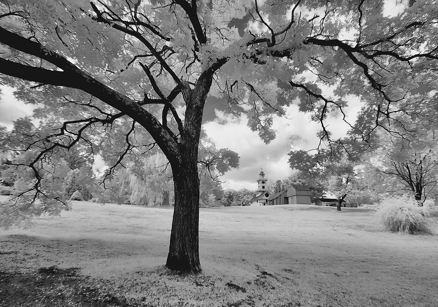 Mono Chrome In Class AA By Patricia Brundage For Booth Park NOV-2020.jpg